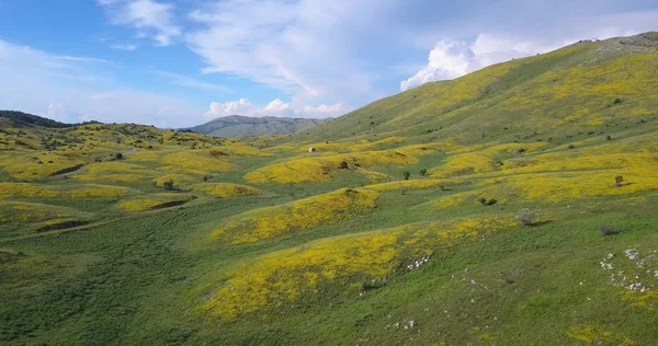 Національний Парк Галісіка Македонії — стокове фото