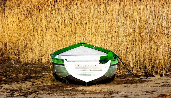 Velho pescador barco e cana planta — Fotografia de Stock