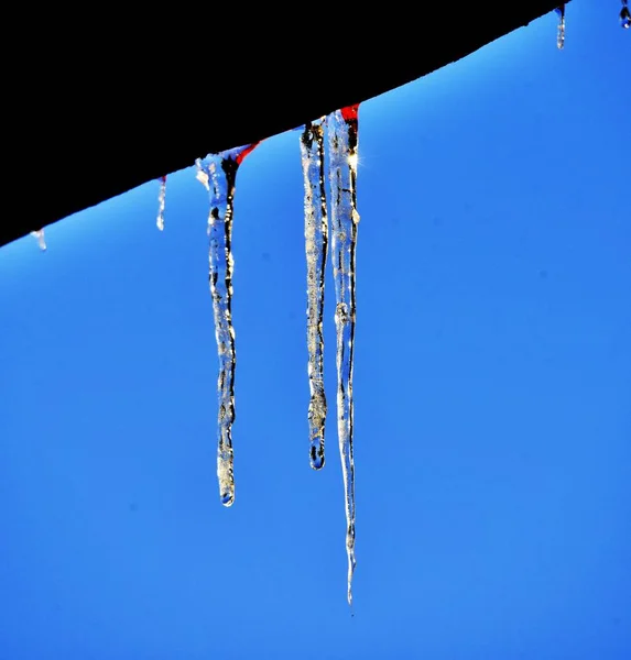 Imagem de gelo derretendo em um dia ensolarado — Fotografia de Stock