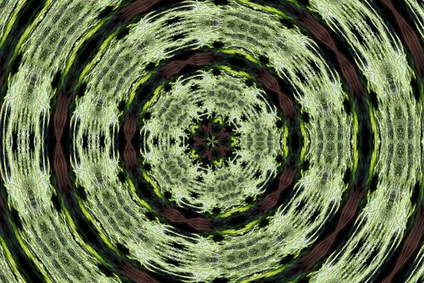 Kaleidoscope effect computer generated image — 스톡 사진