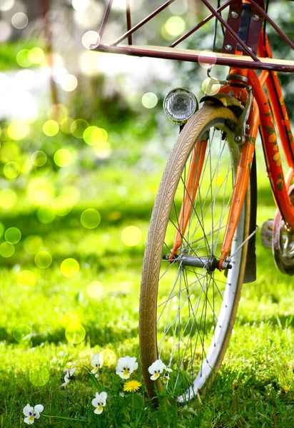 Frühling Blumen Stiefmütterchen und Fahrrad auf einem Gras — Stockfoto