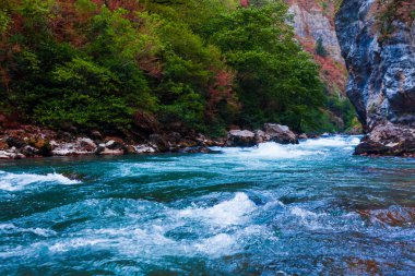 Güzellik doğa manzara manzara arka plan. Doğa kompozisyon.