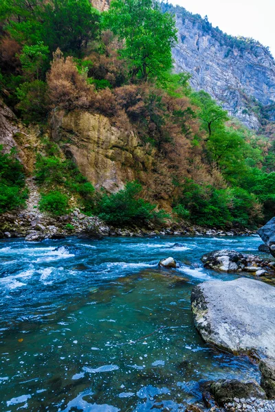 Hermosa vista del río de montaña en verano. Río de montaña en th —  Fotos de Stock