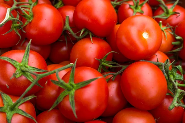 Tło czerwonych pomidorów. Grupa pomidorów — Zdjęcie stockowe