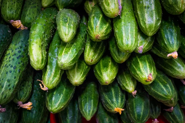 Piyasadaki taze yeşil salatalık — Stok fotoğraf