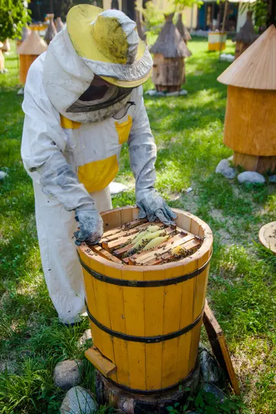 Beekeeper on apiary.  Working apiarist.  Beekeeper holding frame — Stock Photo, Image