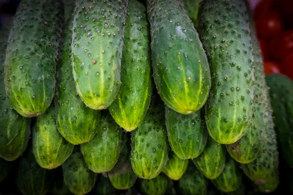 Σωρό από φρέσκα πράσινα αγγούρια — Φωτογραφία Αρχείου