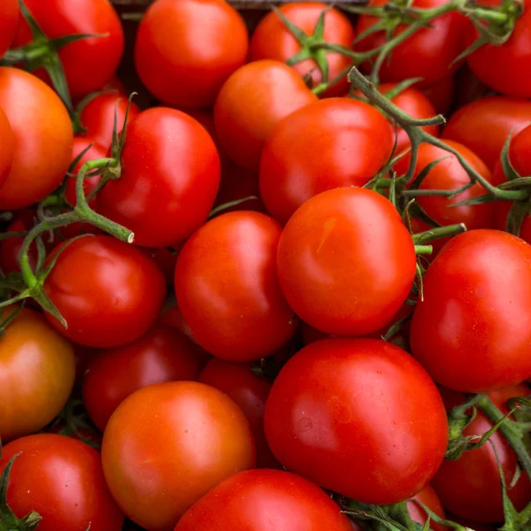 Фон червоних помідорів. Група помідорів — стокове фото