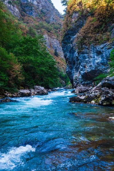 Hermosa vista del río de montaña en verano. Río de montaña en th —  Fotos de Stock