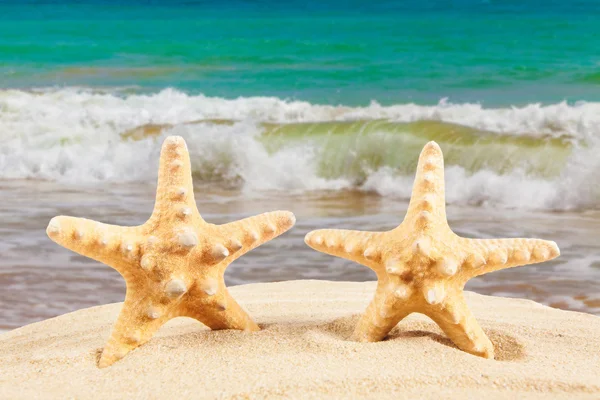 Zomer achtergrond. Schoonheid zomer achtergrond voor zomertijd. Sta — Stockfoto