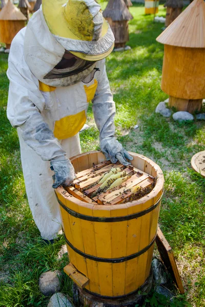 Beekeeper on apiary.  Working apiarist.  Beekeeper holding frame — Stock Photo, Image