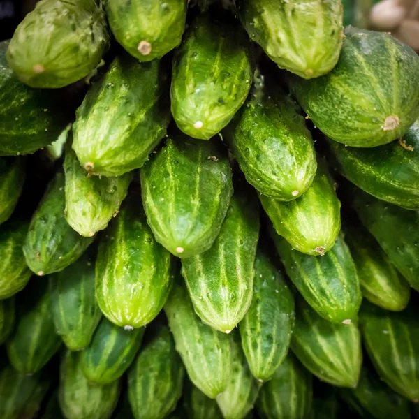 Pilha de pepinos verdes frescos — Fotografia de Stock