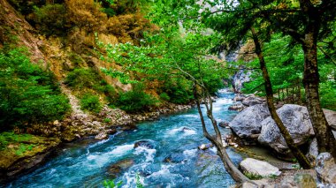 Yaz aylarında nehir dağ güzel manzarasına. Dağ nehir TH