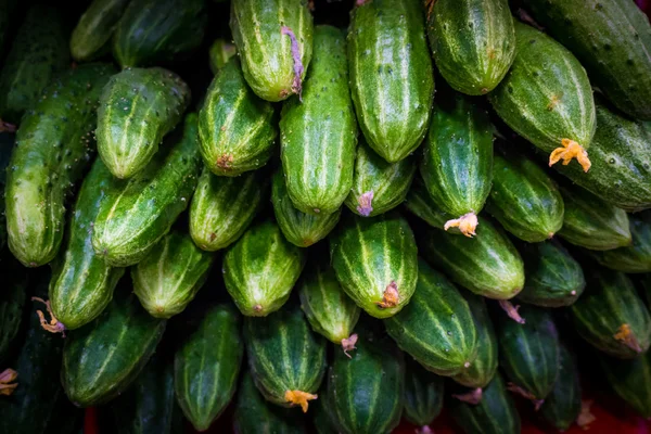 Świeży ogórek zielony na rynku — Zdjęcie stockowe
