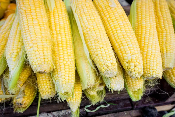 Maíz fresco. Maíz en venta en el mercado de agricultores —  Fotos de Stock