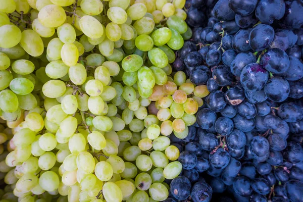 Uva. Fondo de uvas de vino.Uvas negras, uvas azules, gr blanco — Foto de Stock