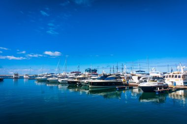 Soçi, Rusya - 29 Eylül 2016: Yarış Yat Limanı