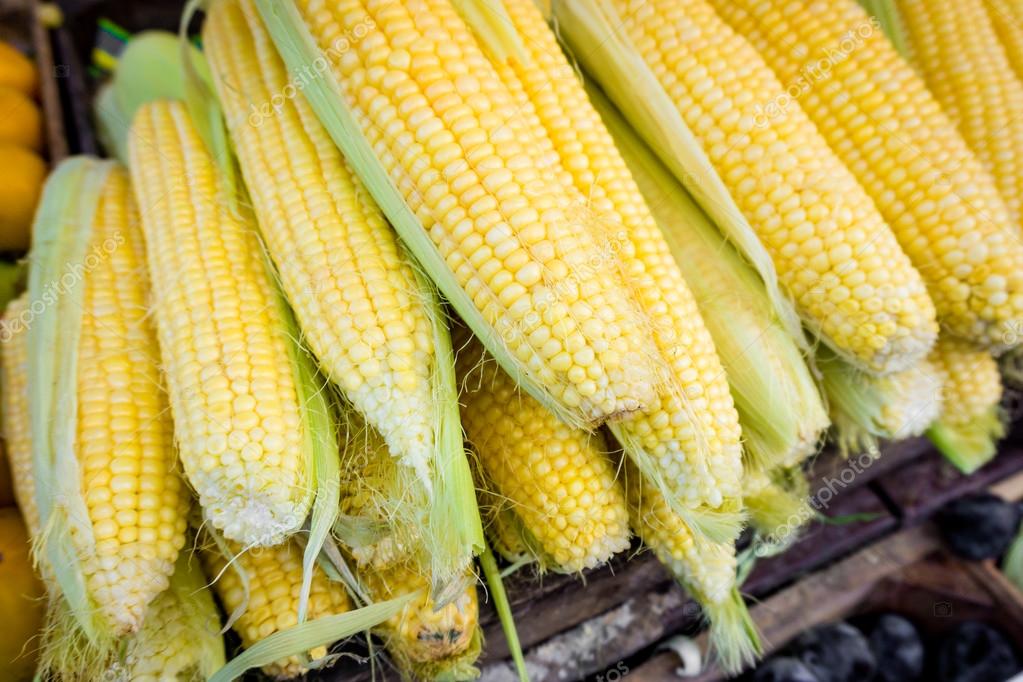 Fresh corn. Corn for sale at farmers market — Stock Photo © ewastudio 128180946