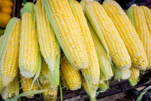 Maíz fresco. Maíz en venta en el mercado de agricultores —  Fotos de Stock