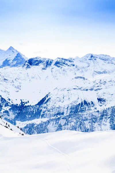 美丽的山景观。冬山全景 — 图库照片