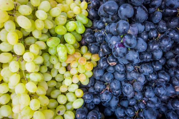 Druif. Wijn van druiven achtergrond. Donkere druiven, blauwe druiven, wit gr — Stockfoto