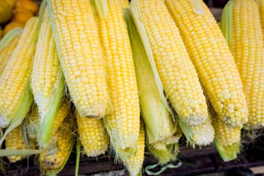 taze Mısır. Mısır Çiftçi Market Satılık