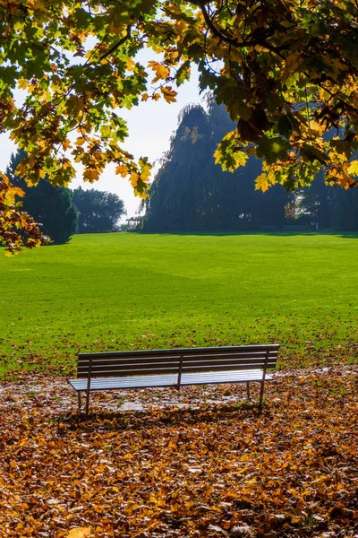 Banco en el parque de otoño. Parque de la ciudad en otoño — Foto de Stock