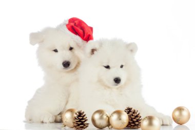 kukla portre. Yeni yıl kavramı, Noel kavramı