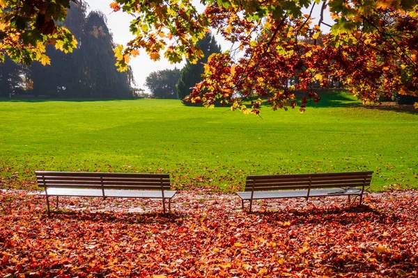 Hermoso otoño en el parque de la ciudad. Escena de otoño — Foto de Stock