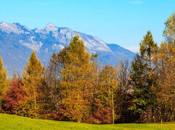 Montagne automne paysage. Paysage d'automne coloré. montagnes — Photo