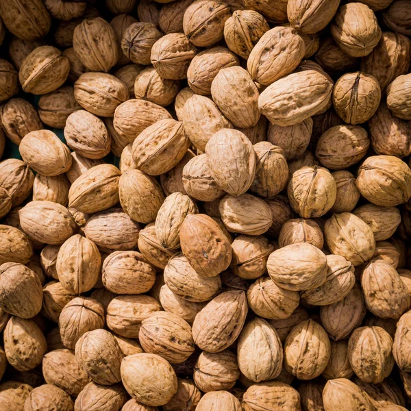 Walnut background. walnut as a texture — Stock Photo, Image