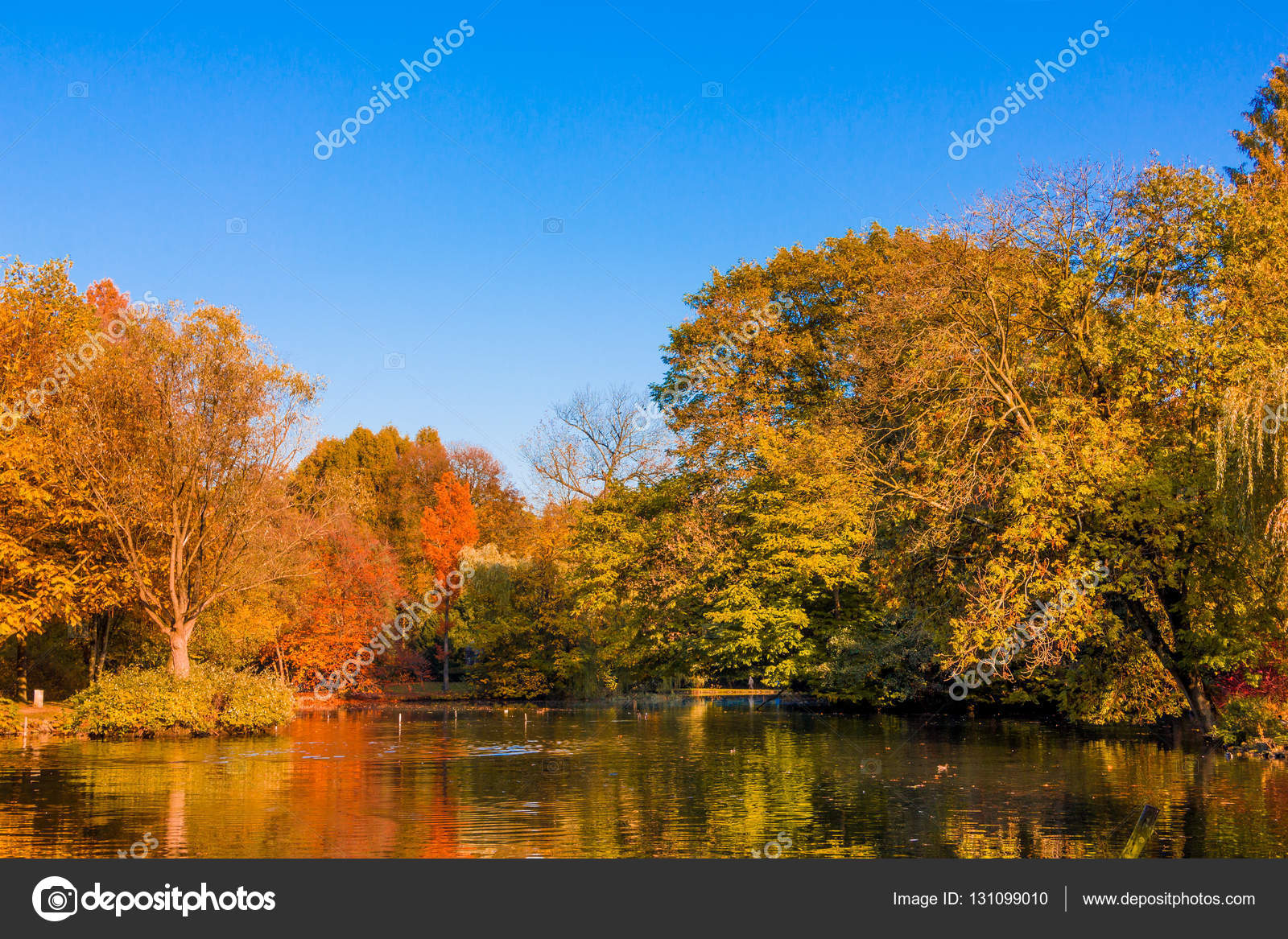Осенние Пейзажи Фото Золотой Осени