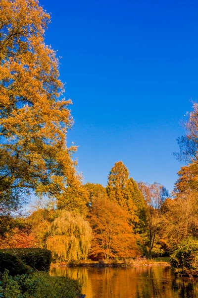 Jesień las krajobraz. Złotej jesień krajobraz. Jesienią. Upadek. Jesienny Park. Autumn drzewa i liście — Zdjęcie stockowe