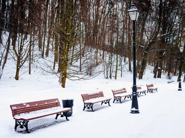 Winter in the park.  Benches in the winter city park — Stock Photo, Image