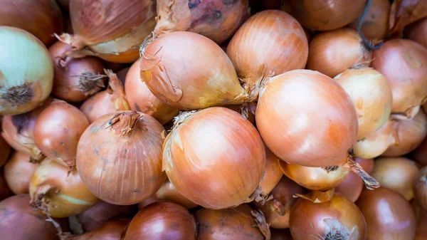 Čerstvé cibule. Cibule na pozadí. Zralé cibule — Stock fotografie