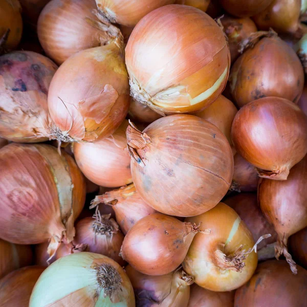 Fresh onion. Onions background. Ripe onions — Stock Photo, Image