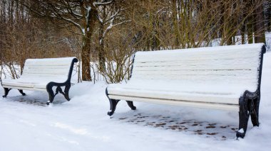 Kış parkta. Kış city Park banklar