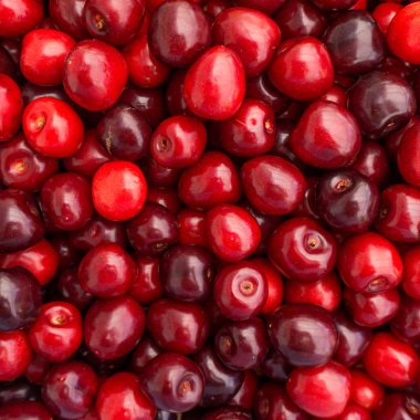 Tatlı kiraz arka plan. Olgun Kiraz