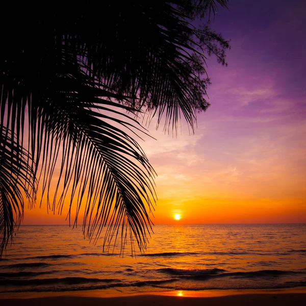 Paisaje del atardecer. atardecer playa. puesta de sol en la playa —  Fotos de Stock