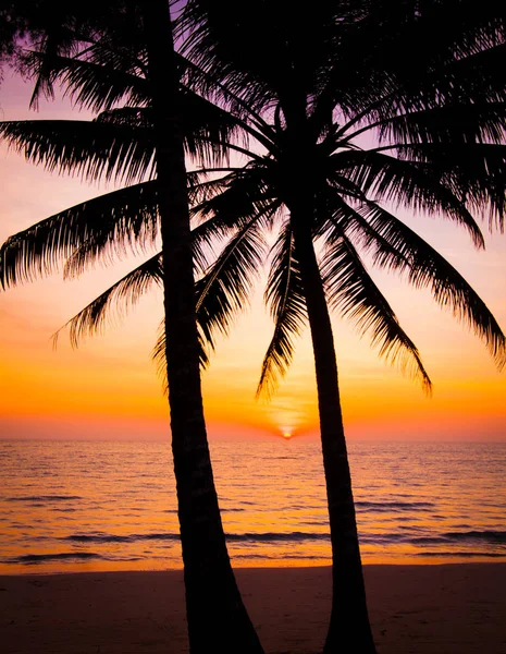 Zonsondergang landschap. strand zonsondergang. zonsondergang op het strand — Stockfoto