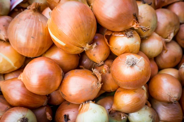 Fresh onion. Onions background. Ripe onions — Stock Photo, Image
