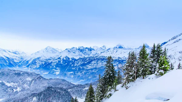 Прекрасний зимовий пейзаж. снігові покриті дерева — стокове фото