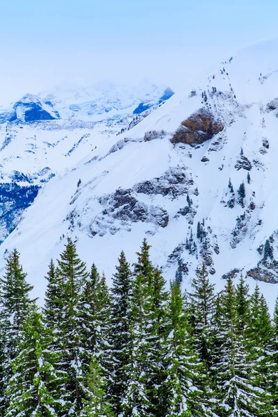 冬の風景。冬の背景。冬の山 — ストック写真