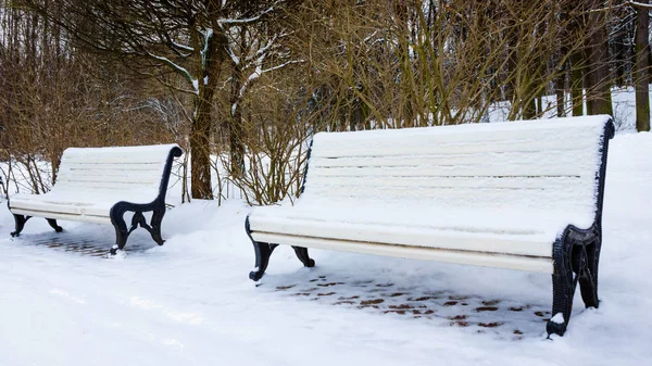 Winter in the park.  Benches in the winter city park — Stock Photo, Image