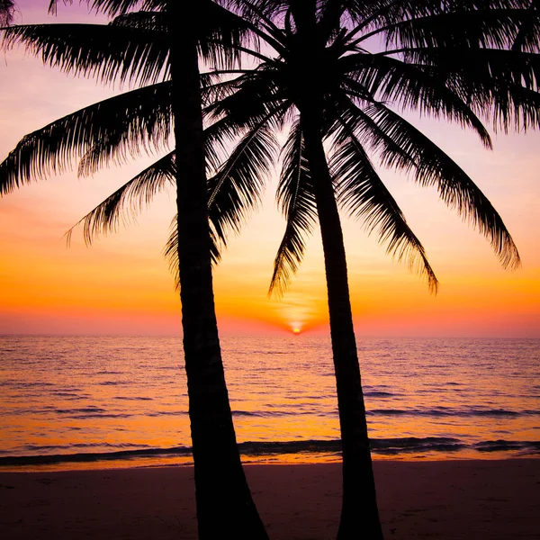 Solnedgång landskap. stranden solnedgång. solnedgång på stranden Royaltyfria Stockfoton