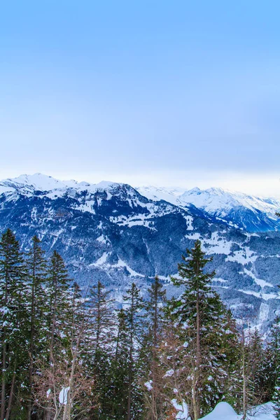 Bellissimo paesaggio invernale. alberi innevati — Foto Stock