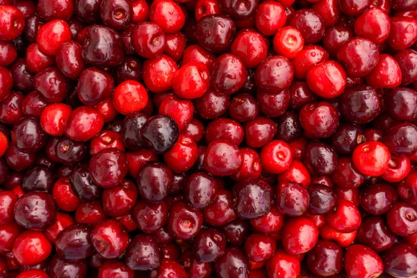 Sweet cherry background.  ripe cherries — Stock Photo, Image