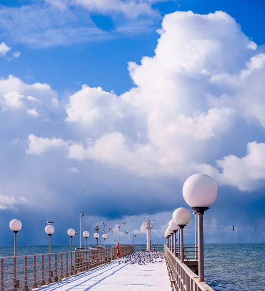 Море і блакитне небо. Морські птахи сидять на пірсі. зимовий пляж. Вайт — стокове фото