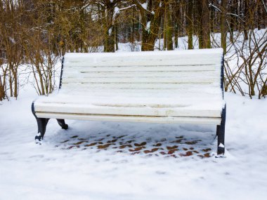 Kış parkta. Kış city Park banklar