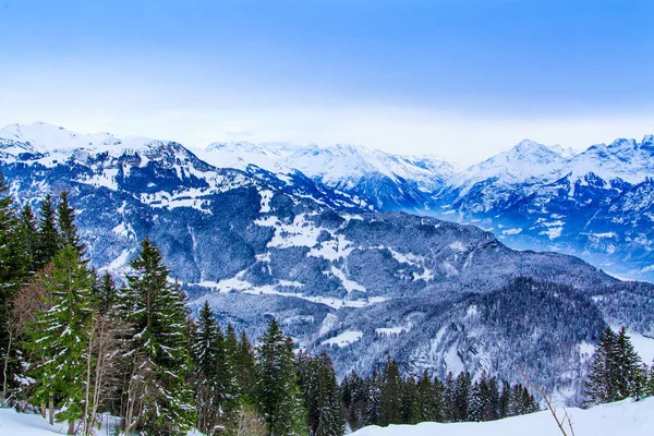 Wunderschöne Winterlandschaft. schneebedeckte Bäume — Stockfoto